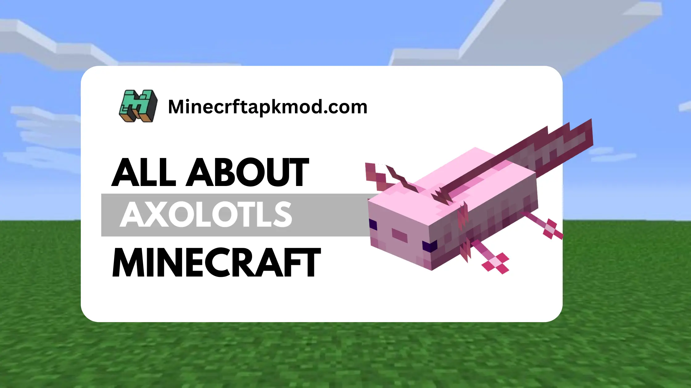 Axolotl Minecraft